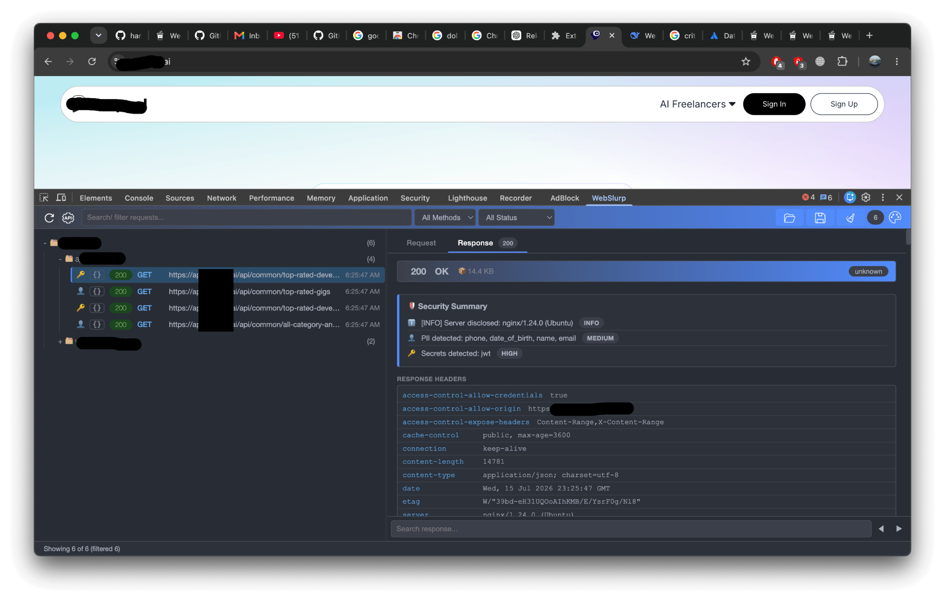 WebSlurp detecting API key in response